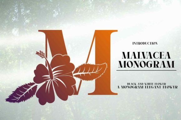 Malvacea: A Display Font for Branding That Stands Out
