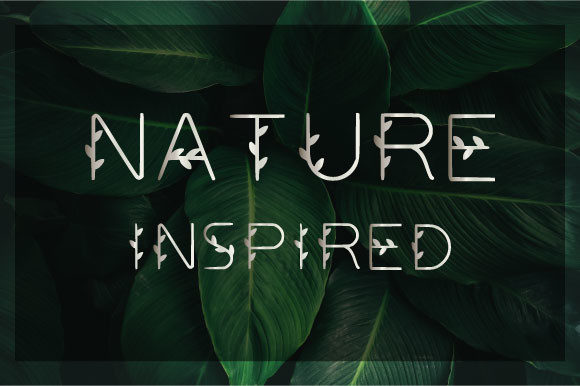 Nature Inspired: The Perfect Display Font for Fresh Brand Campaigns